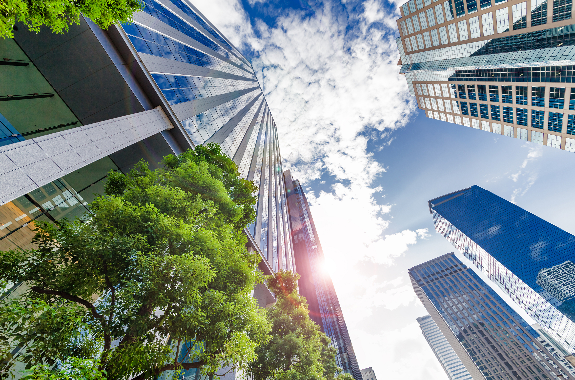 会社設立・開業支援